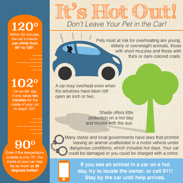 Car Safety For The Summer