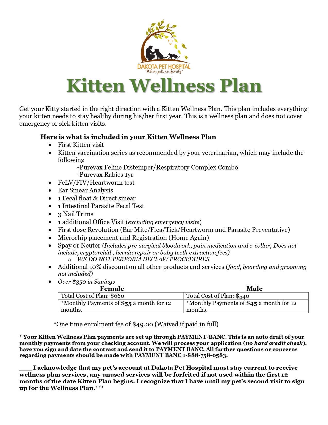 Kitten Wellness Plan
